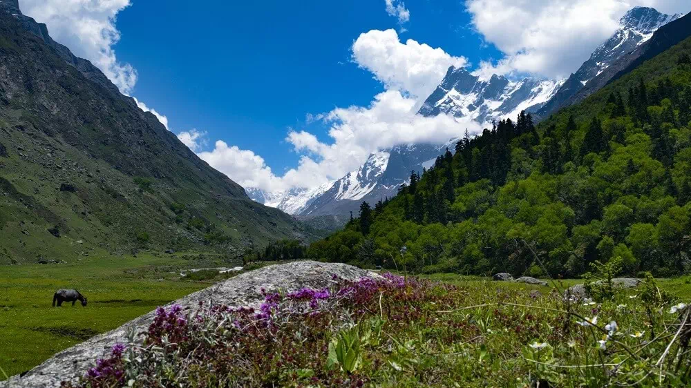 Har Ki Dun Trekking Destination