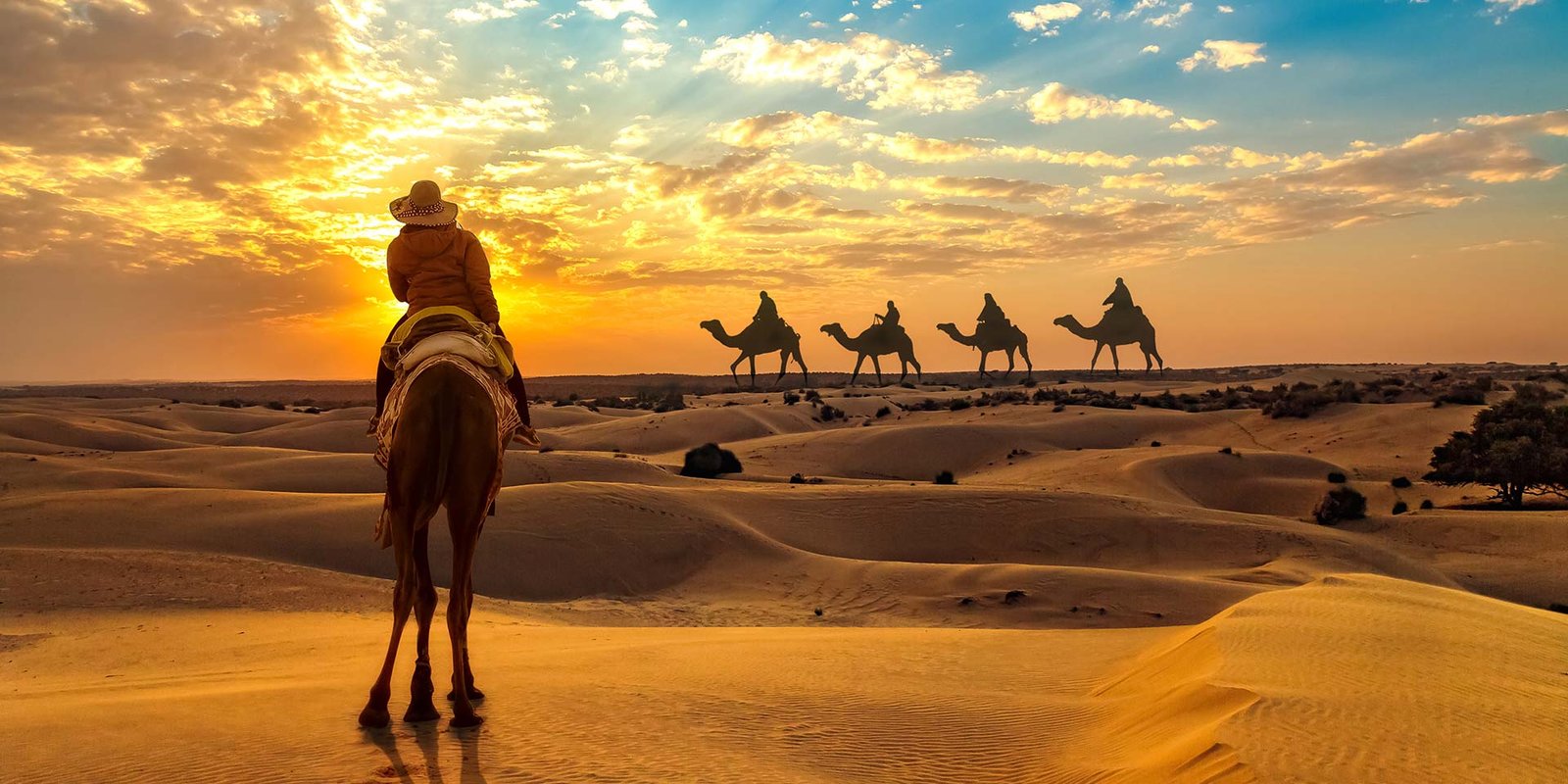 Haldwani to Jaisalmer Taxi Service